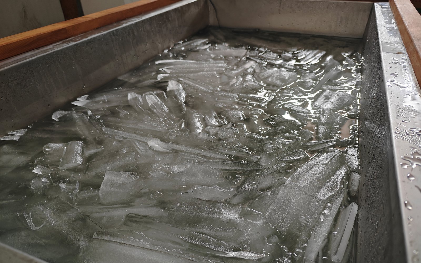 Ice bath tub interior with floating crushed ice